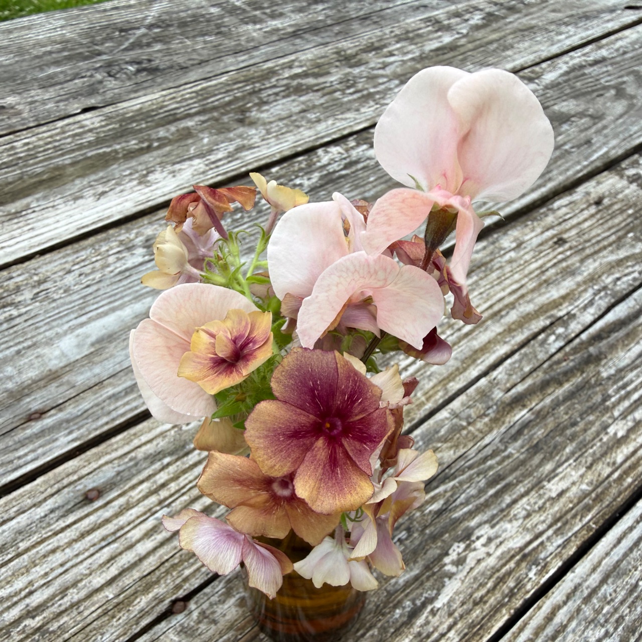 Sweet peas