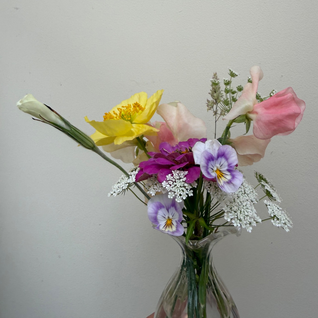 Pansies